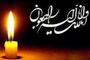 درگذشت مادر گرامی جناب آقای دکتر حسن وطن دوست